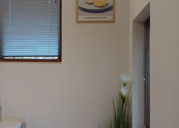 форест 58 * Balchik